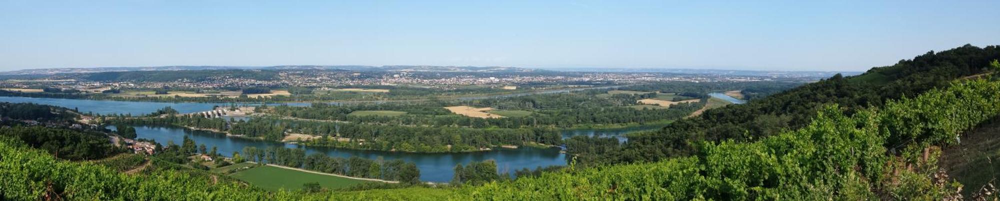 l'Ecrin de Vert Saint-Alban-du-Rhône Kamer foto